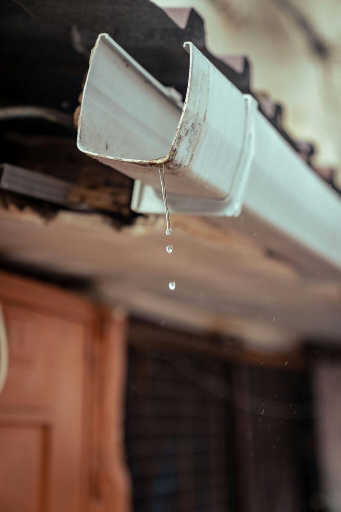 Gutter Cleaning, Gutter Flushing, Downspout Unclogging, and Gutter Guard Installation service at Lake Marting, Alabama Gutter Cleaning, Gutter Flushing, Downspout Unclogging, and Gutter Guard Installation service