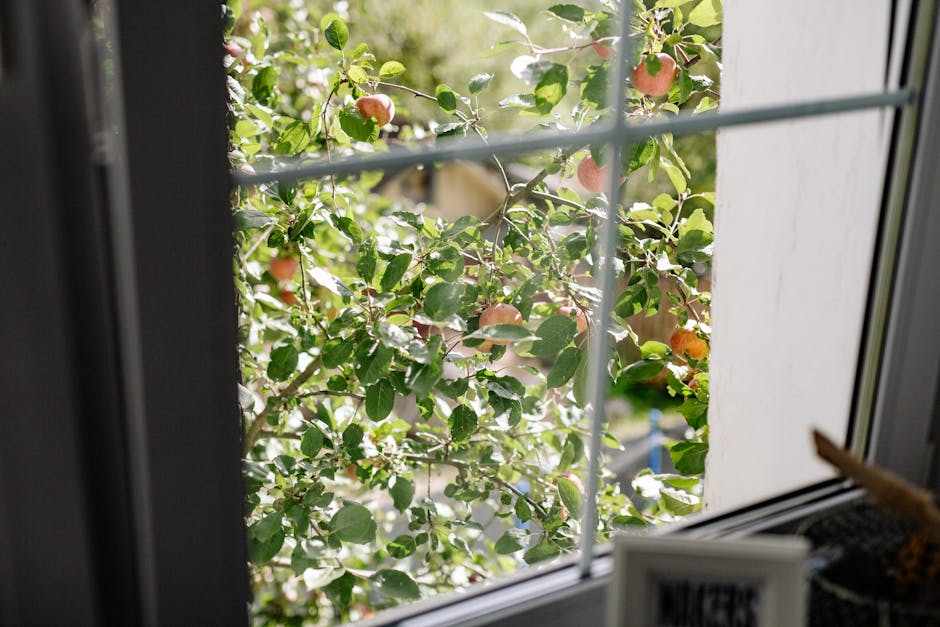 Looking for “residential window washing near me” in Alabama? Looking for “residential window washing near me” in Alabama? - Lush apple tree with ripe fruits seen through a home window, evoking a serene nature scene.